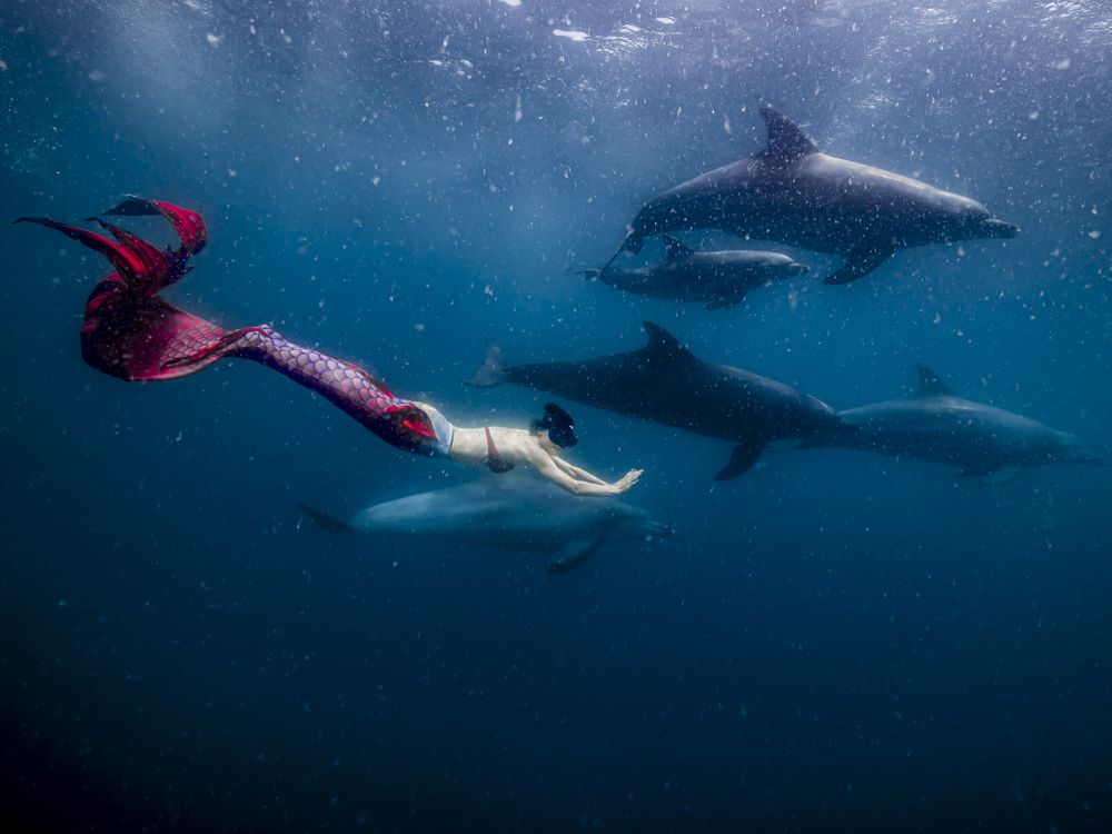 Photograph by Junya Higashi