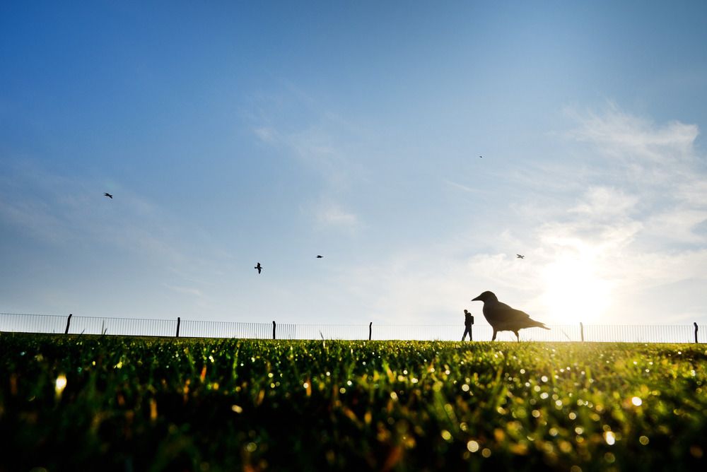 Photograph by Bekir Yesiltas
