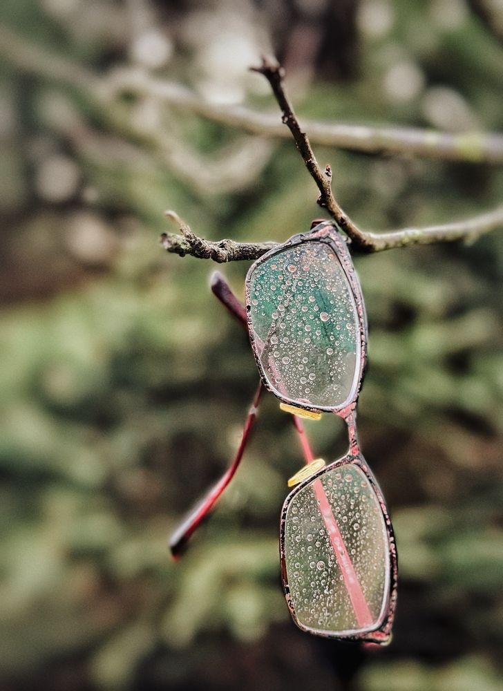 Photograph by Маргарита Сергуткина