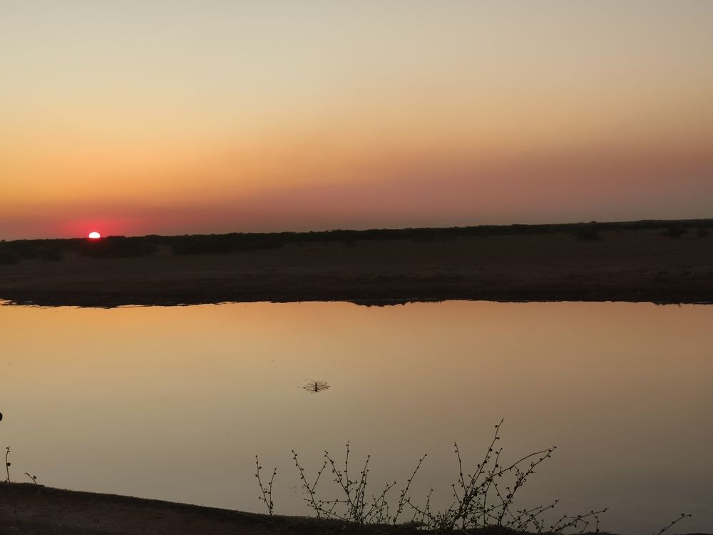 Sunset