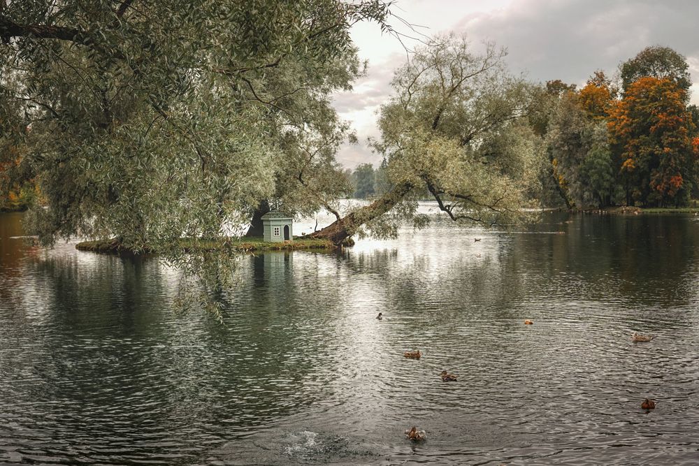 Photograph by Елена Суворова