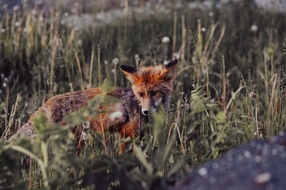 Photograph by Андрей Конончук