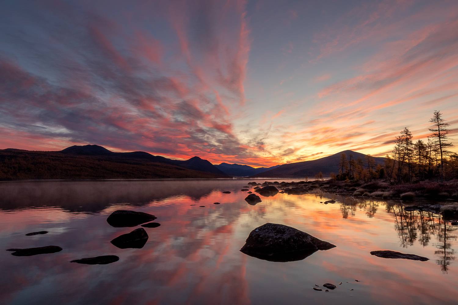 Фотография #12945524