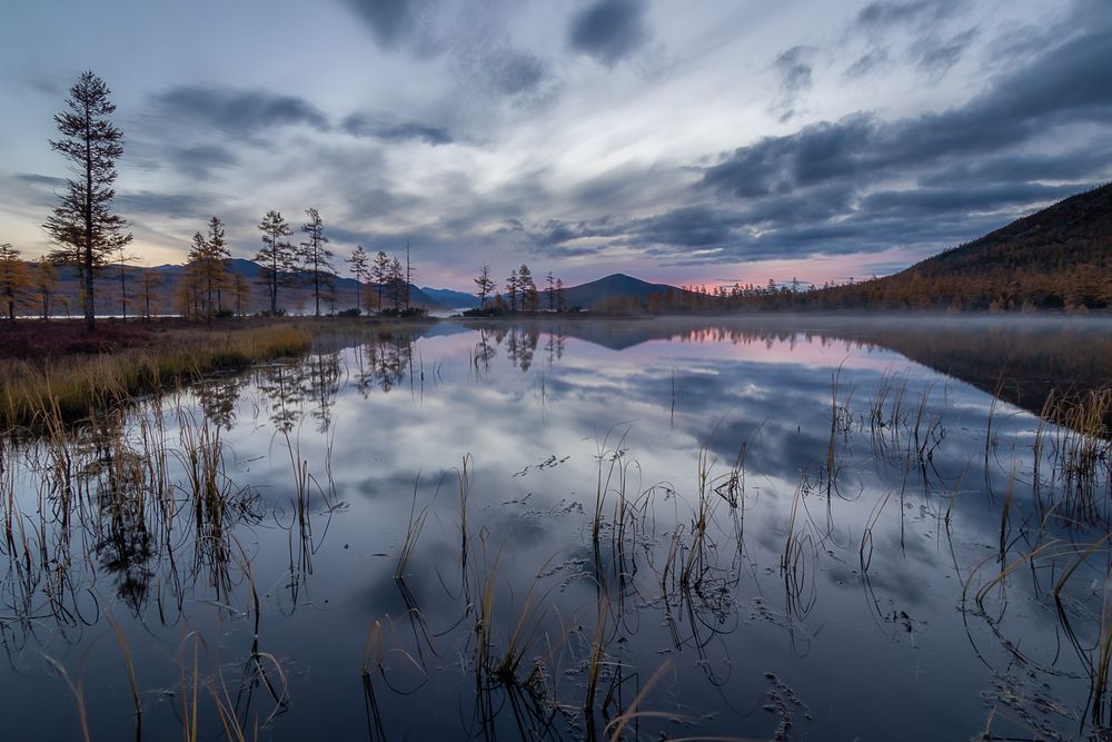 Photograph by Nadezhda Okorokova
