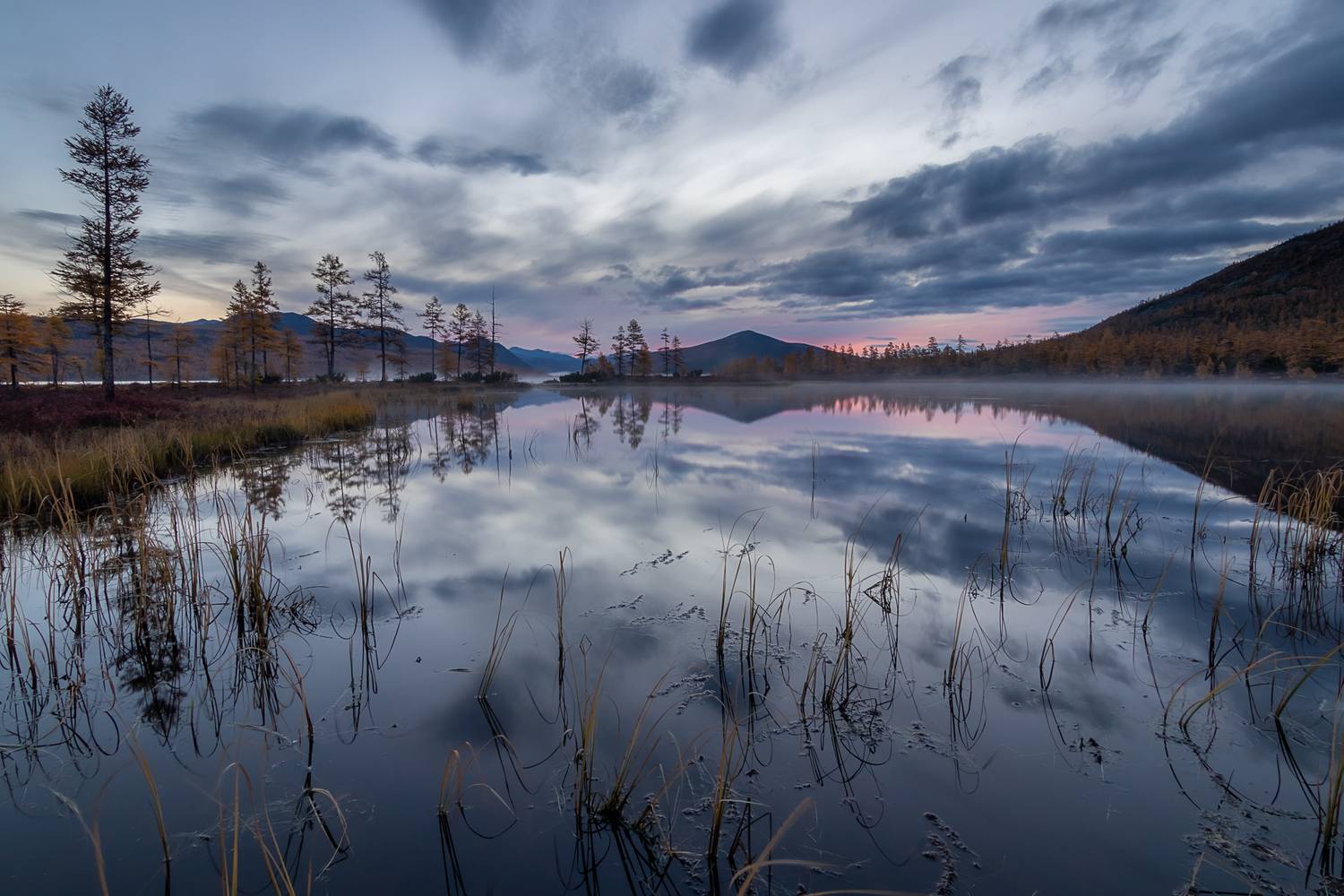 Фотография #12945528