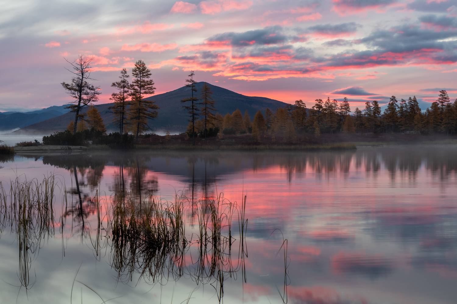 Фотография #12945529