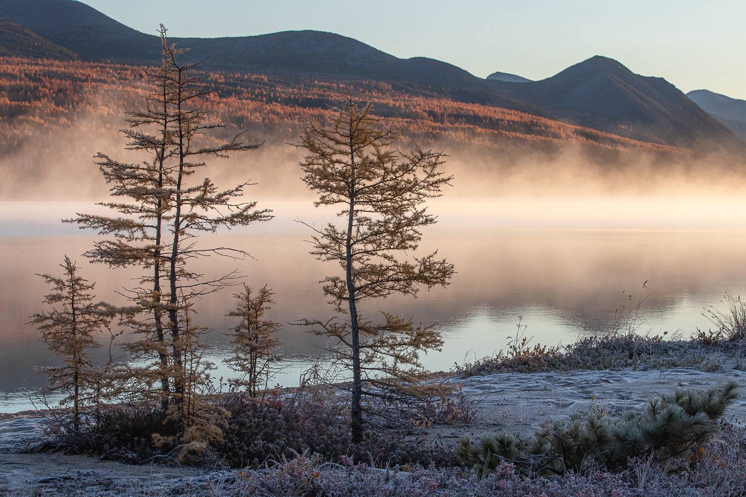 Фотография #12945533