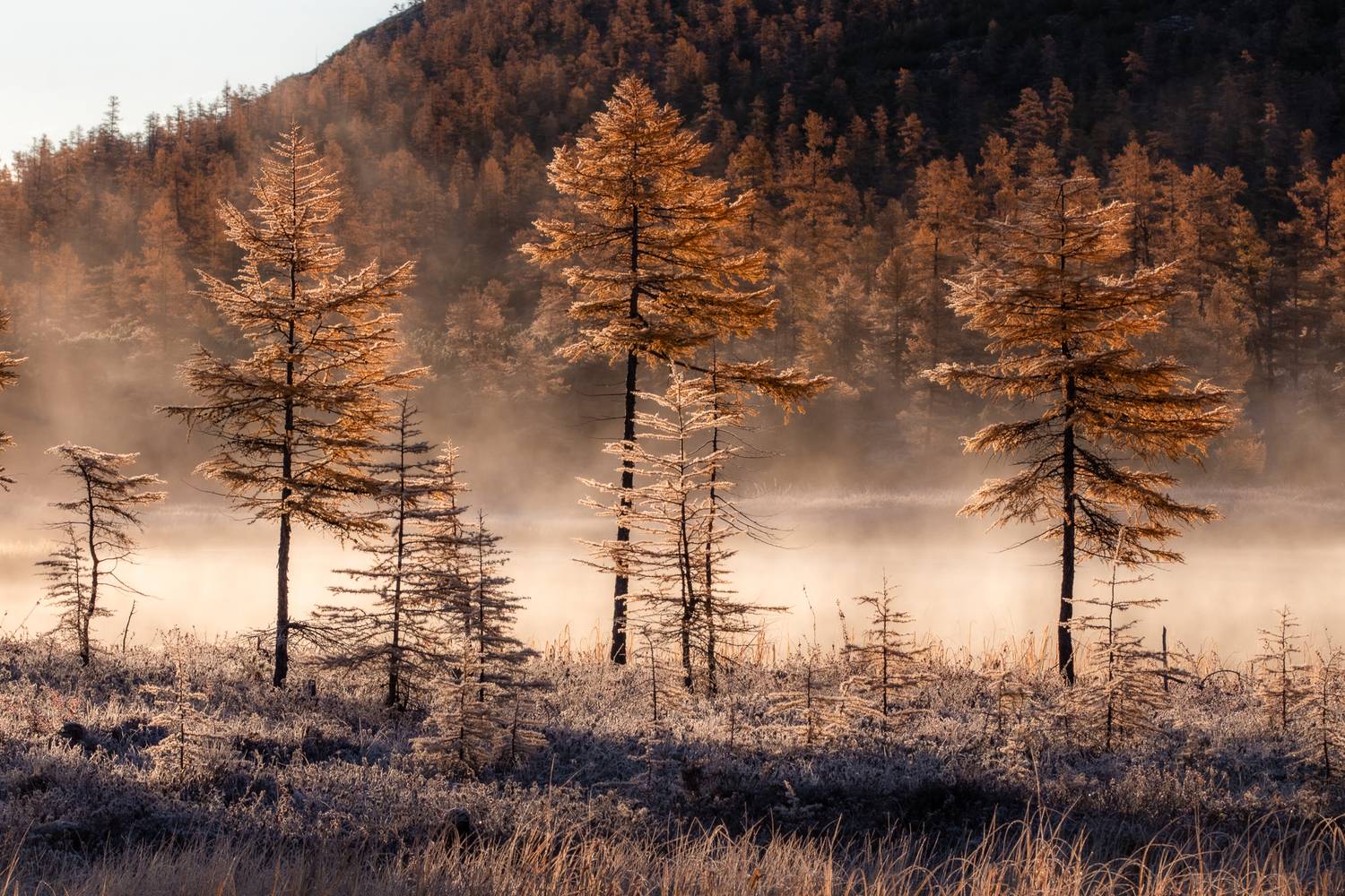 Фотография #12945534