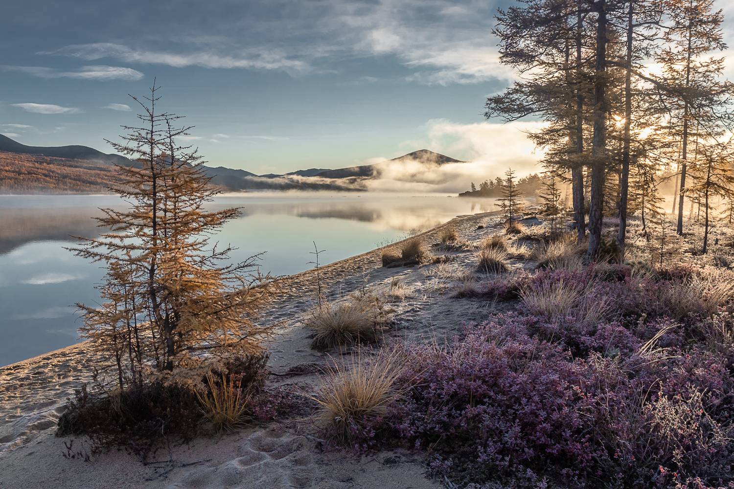 Фотография #12945535