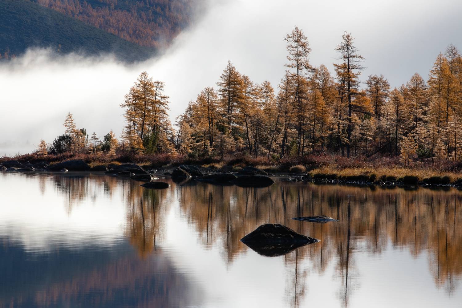 Фотография #12945536