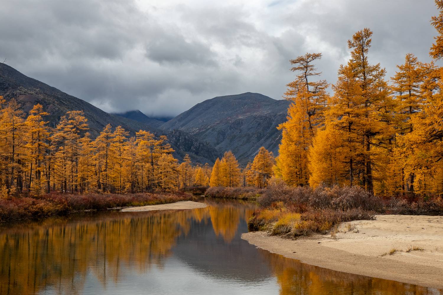 Фотография #12945537