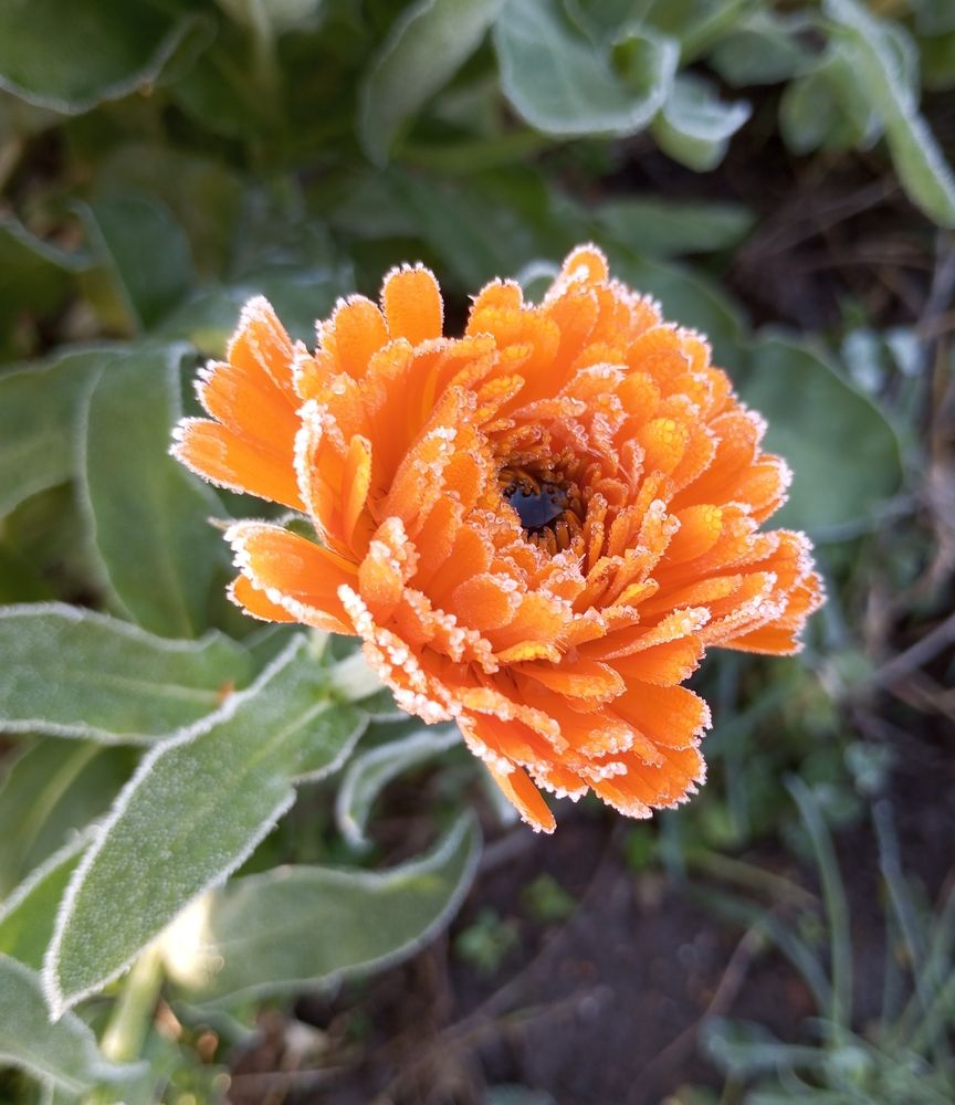 Photograph by Савина Анастасия Николаевна