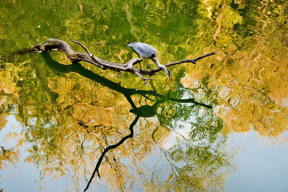 Photograph by Bekir Yesiltas