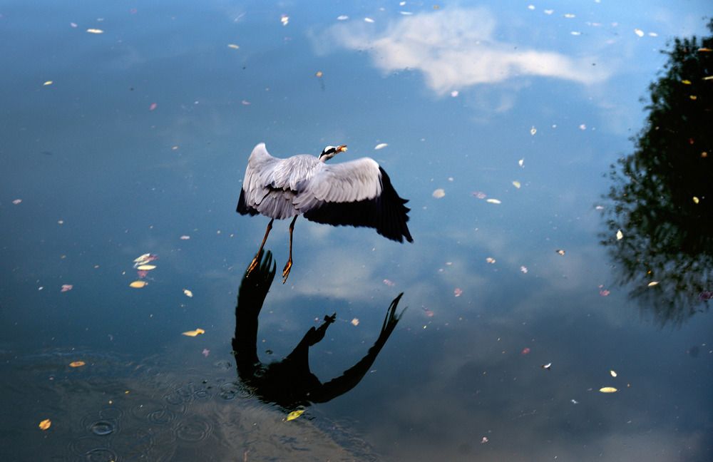 Photograph by Bekir Yesiltas