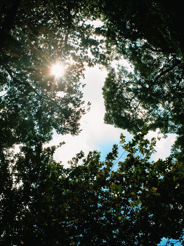 Photograph by Chau Nguyen