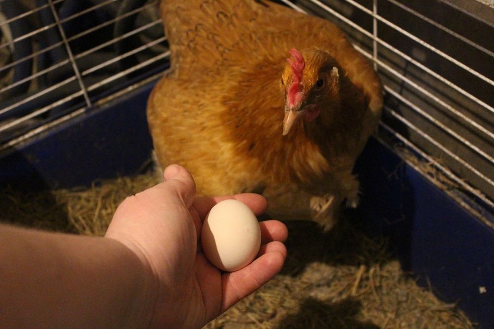 Photograph by Светлана Шубина