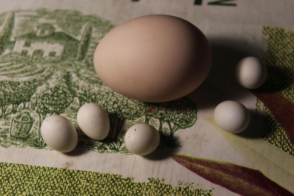 Photograph by Светлана Шубина