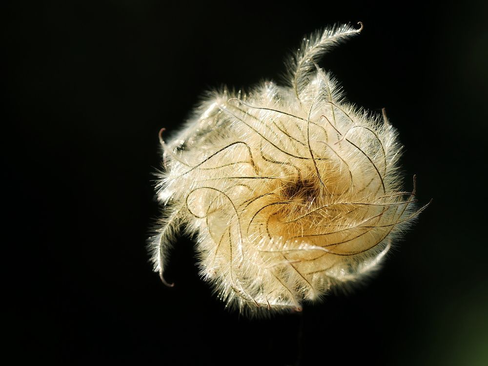 Сгусток энергии