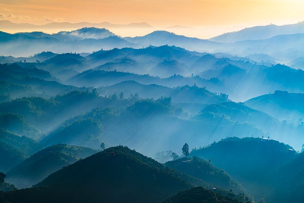 Photograph by Van Nguyen