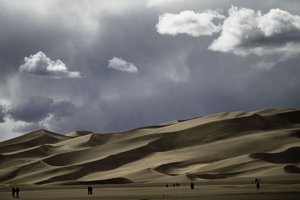 Photograph by Dave Miller