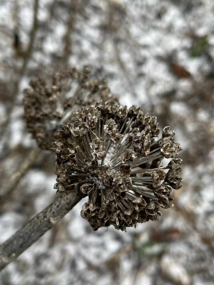 Photograph by Динара