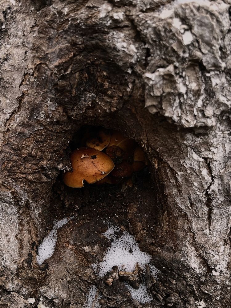 Photograph by Динара