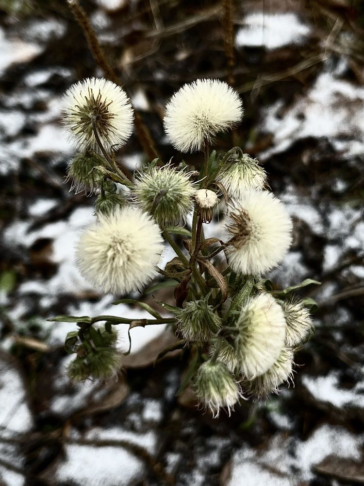 Photograph by Динара