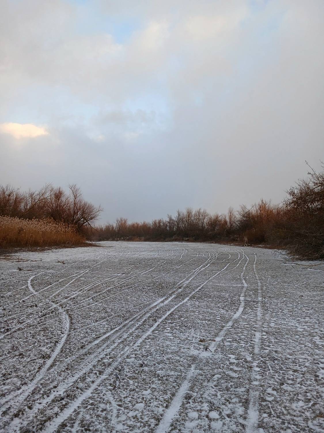 Photo #12945993