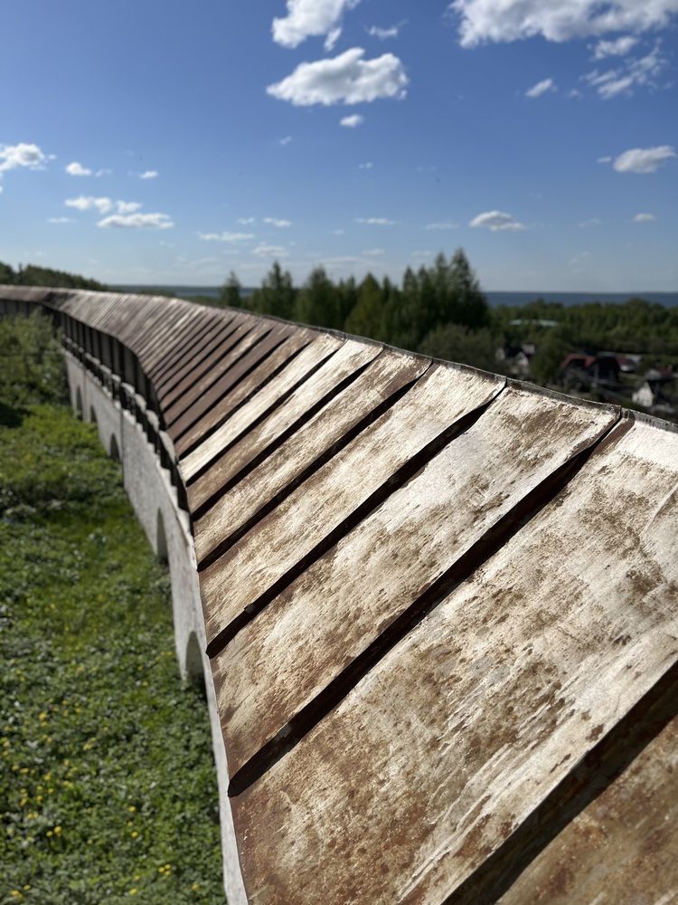 Фотография автора Виктория Ляпина