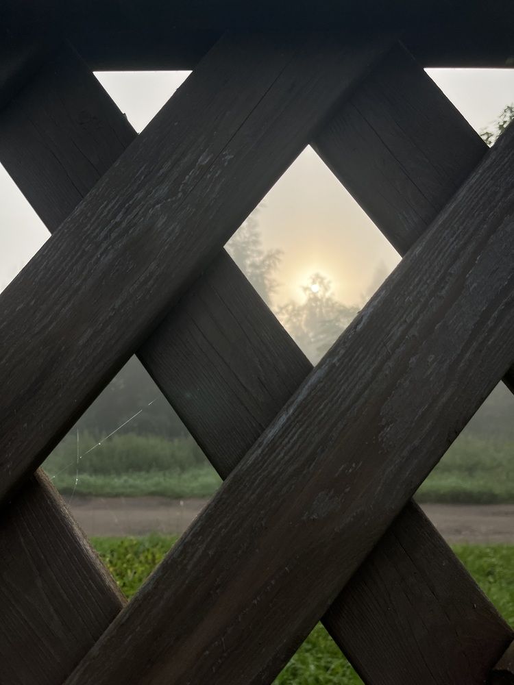 Фотография автора Виктория Ляпина