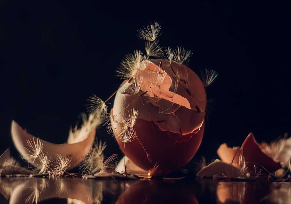 Photograph by Юлия Яремко