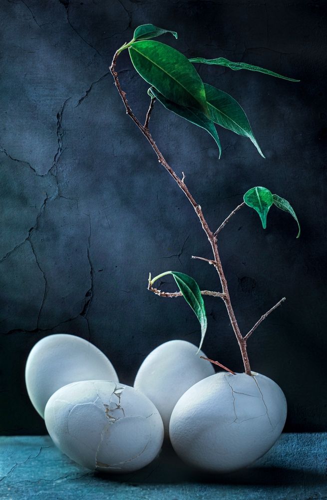 Photograph by Юлия Яремко