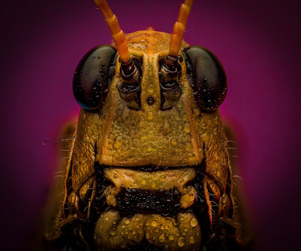 Photograph by Derek Moorse