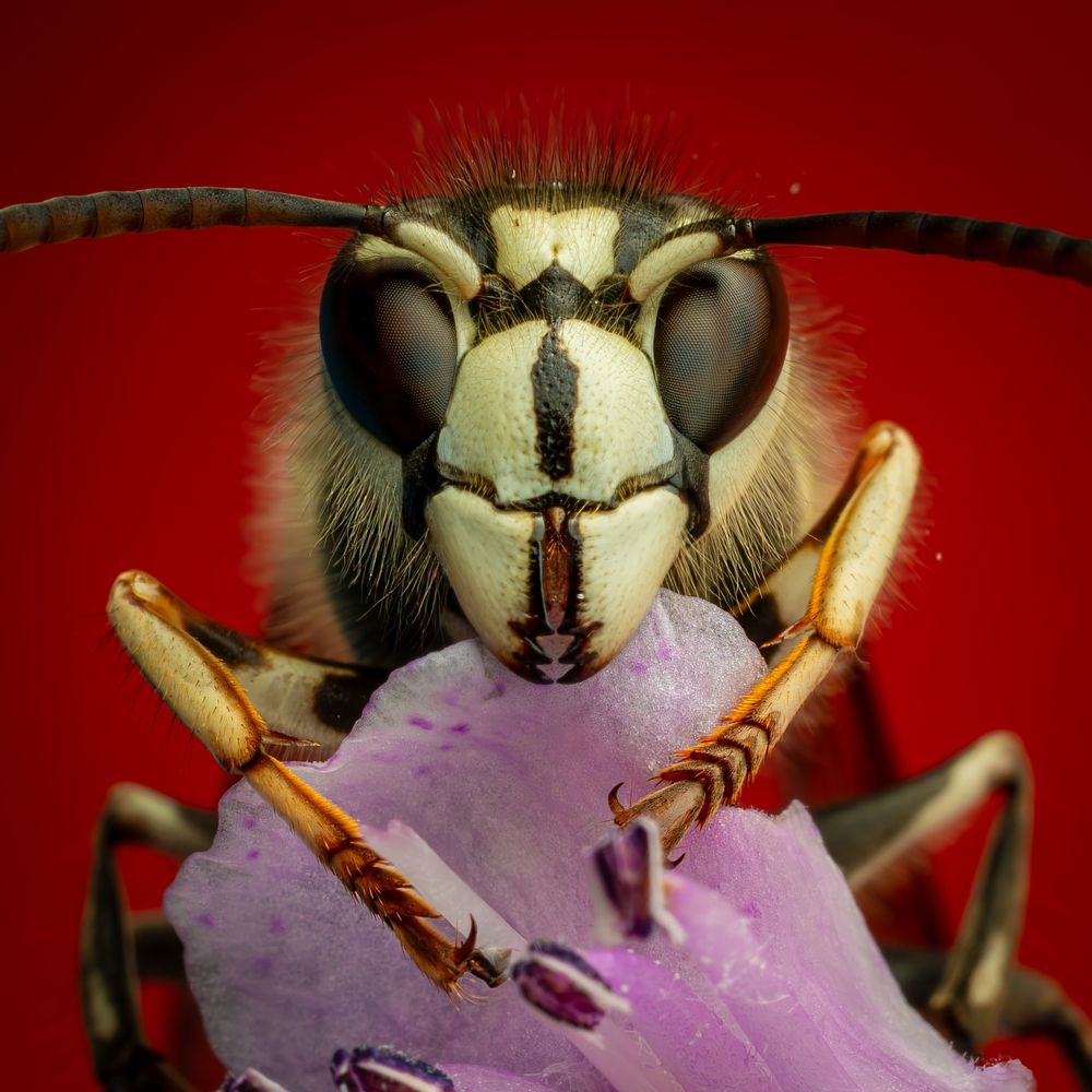 Photograph by Derek Moorse