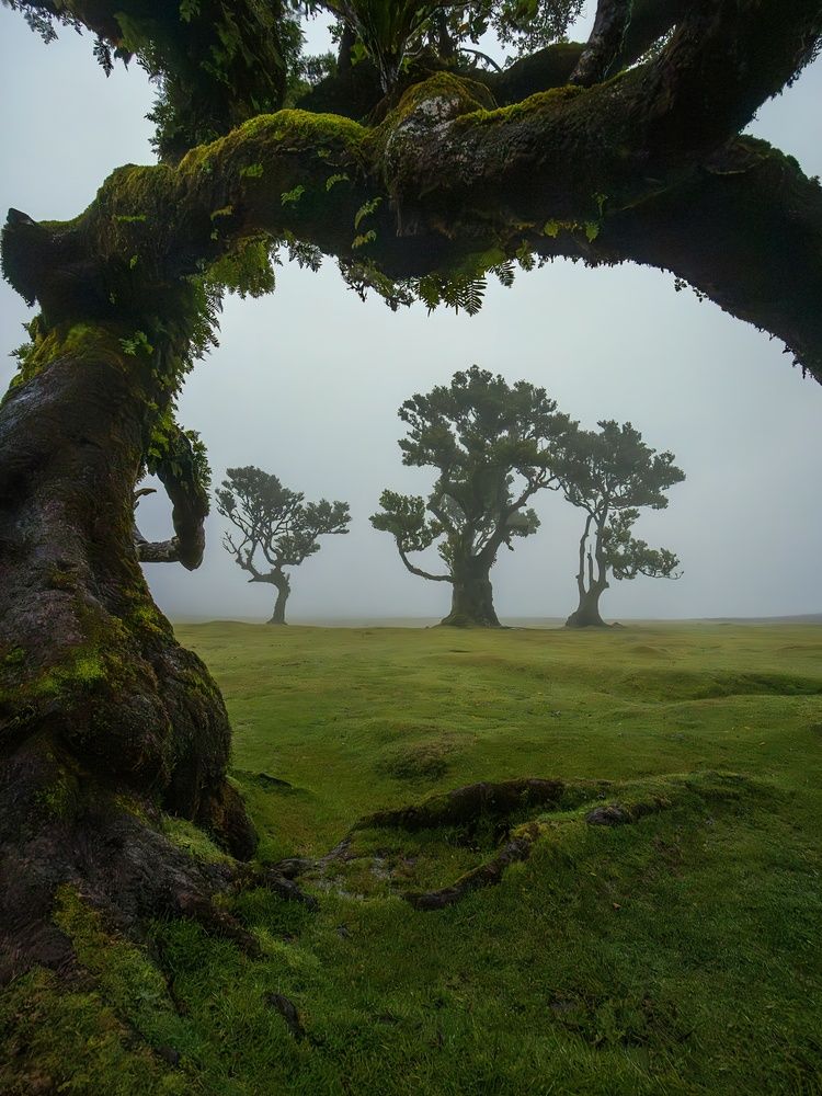 Photograph by Demir Pepic