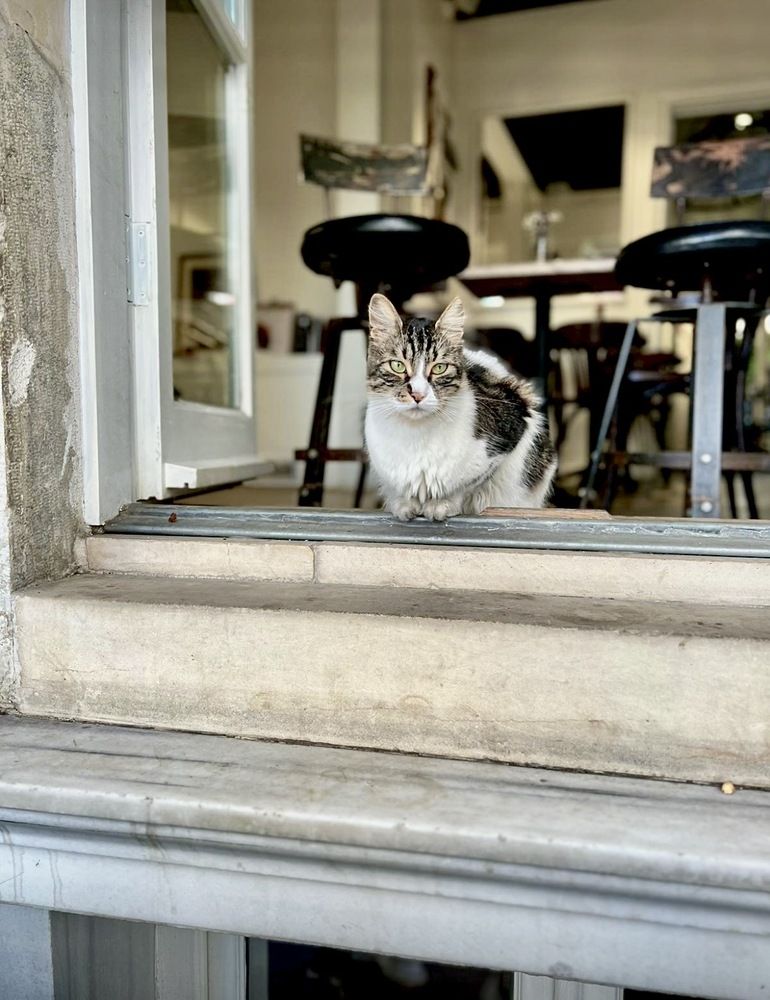Yes, I see you