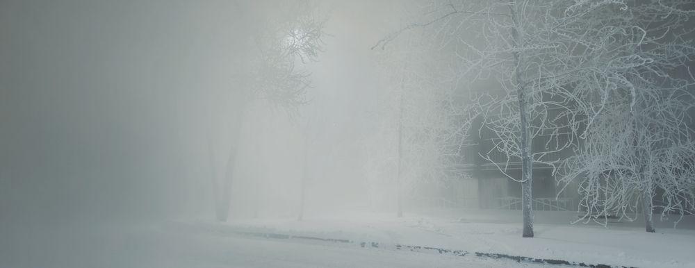 Photograph by Nikita Ostarkov