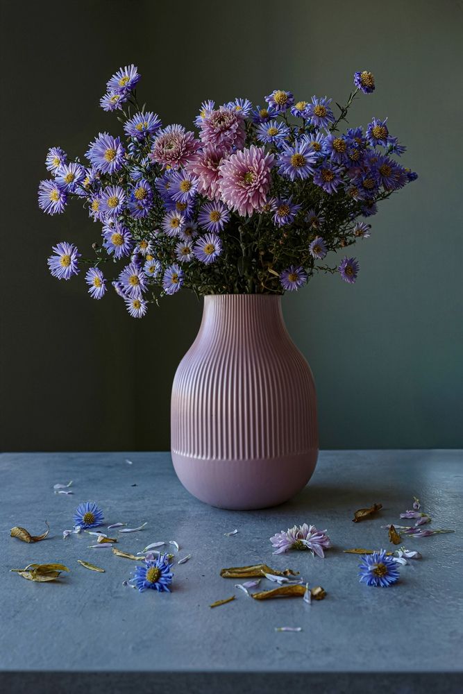 Photograph by Alina Efimova