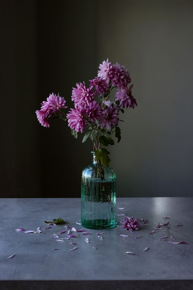 Photograph by Alina Efimova
