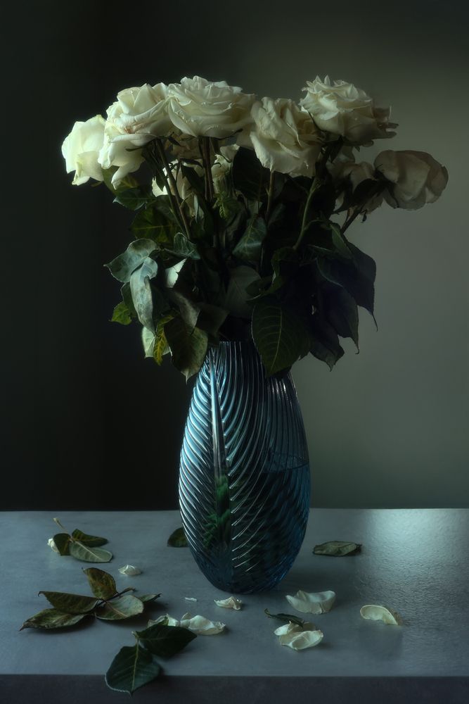 Photograph by Alina Efimova