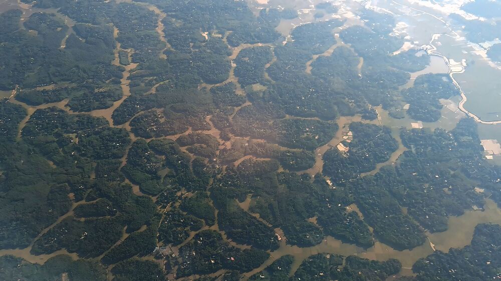 Фотография автора Md shahidul Islam