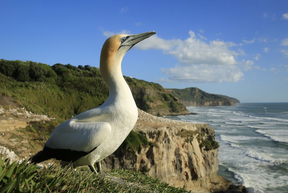 Photograph by Johan Koch