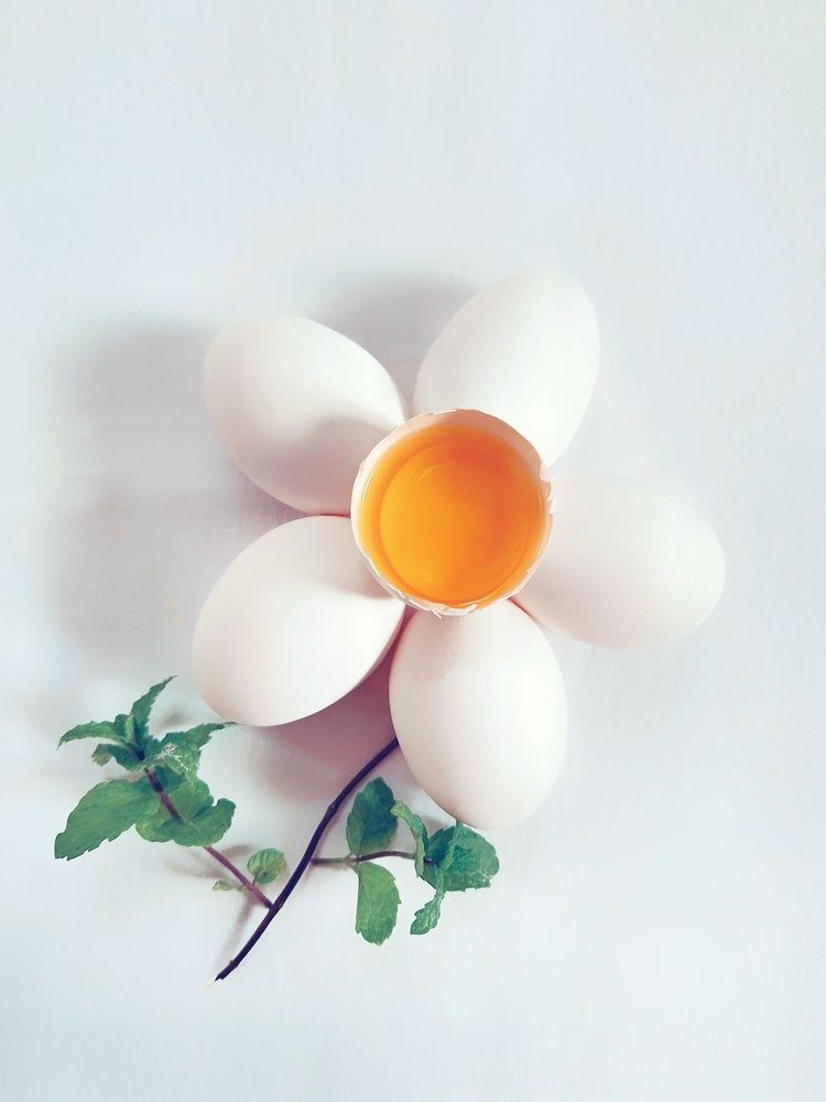 Photograph by Zahra akbari