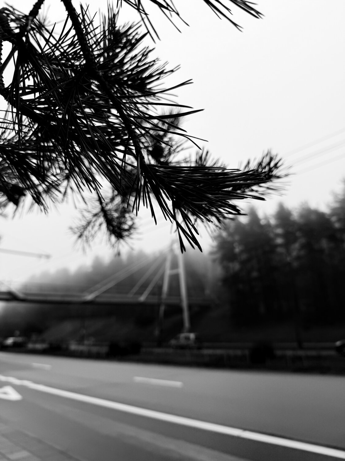 Photo #12946645