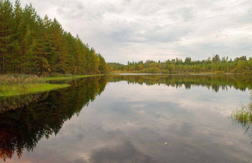 Photograph by Юрий Ступин