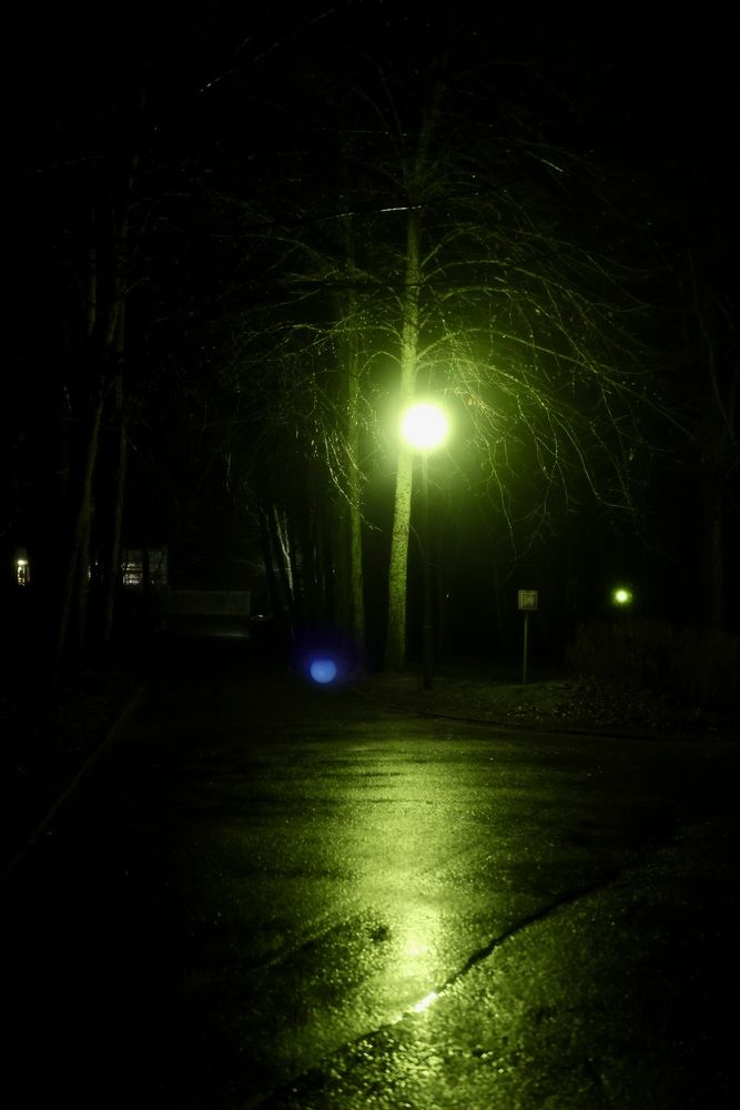 Фотография автора Alina Efimova