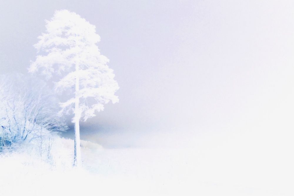 Фотография автора Alina Efimova