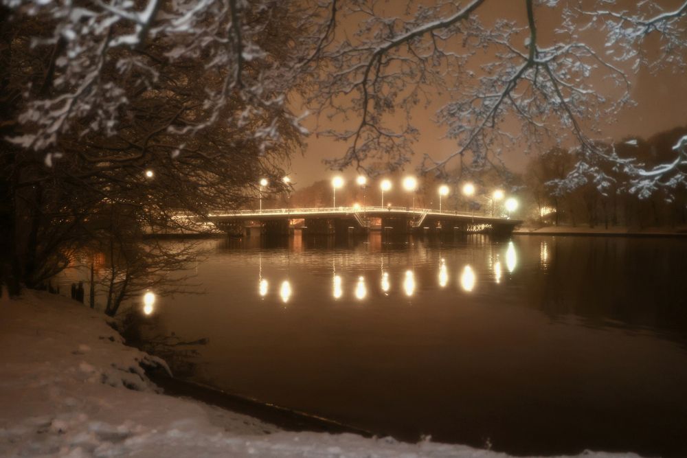 Фотография автора Alina Efimova