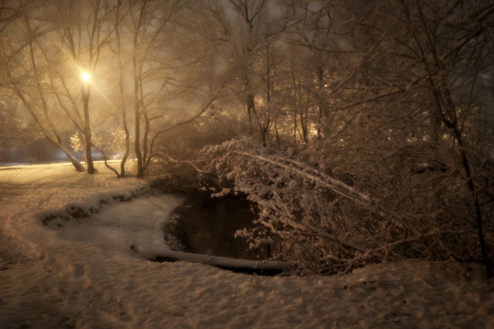 Фотография автора Alina Efimova