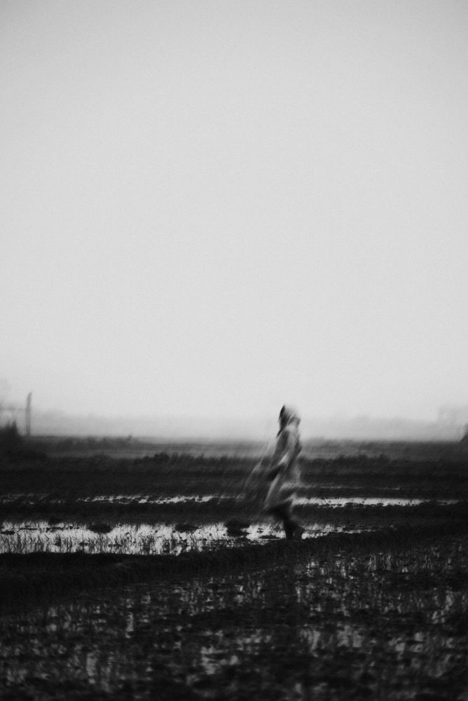 Photograph by Niranjan Baishya